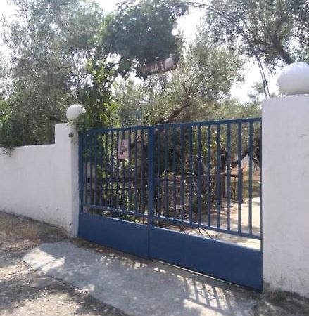 Villa Elli Metokhion Agios Grigoriou Exterior foto